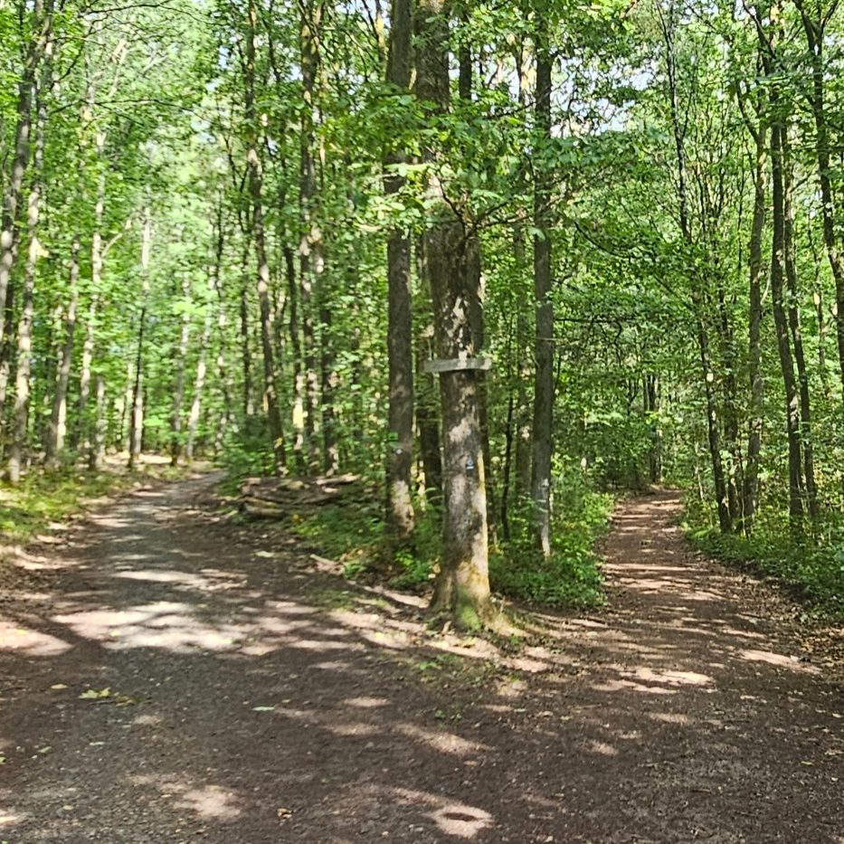 Waldweg bei Siegen – Raum zum Durchatmen